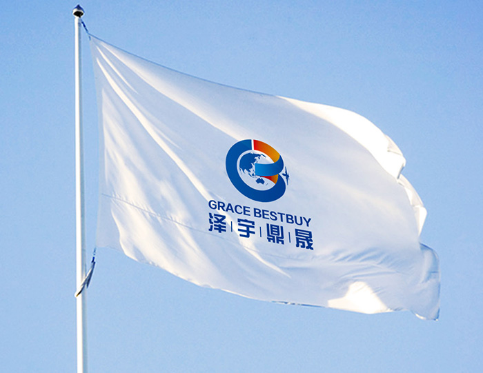 泽宇鼎晟国际贸易公司标志设计