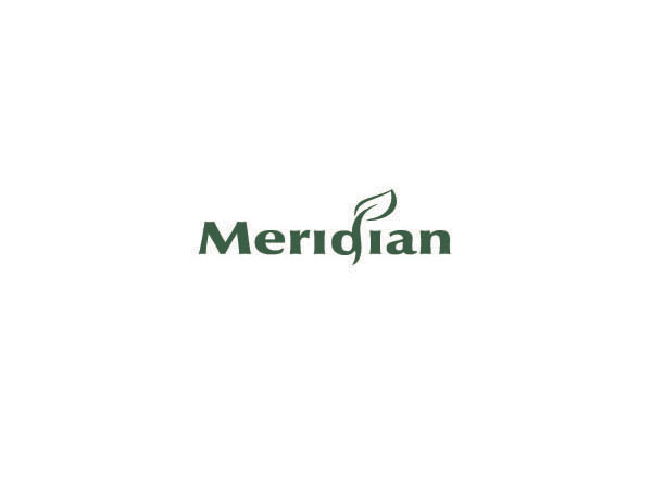 Merioian与绿叶相托的环保企业LOGO设计