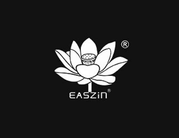 钱钱网信息技术公司旗下品牌EASZIN